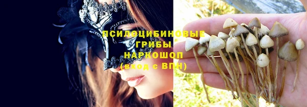 гидропоника Горнозаводск