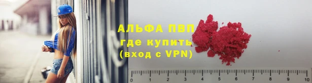 мяу мяу мука Горно-Алтайск