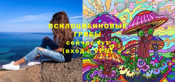 гидропоника Горнозаводск