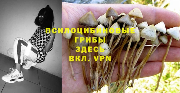 прущая мука Гусь-Хрустальный