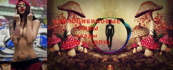 мяу мяу мука Горно-Алтайск
