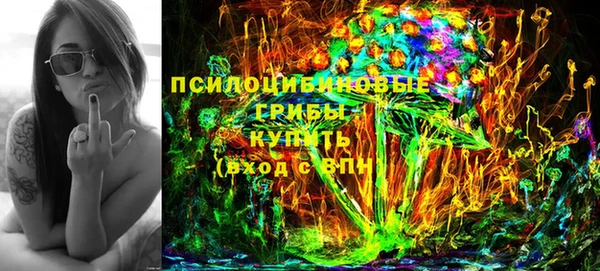 гидропоника Горнозаводск