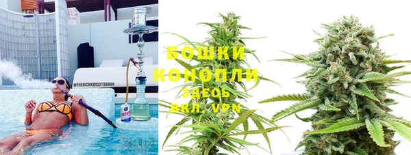 мяу мяу мука Горно-Алтайск