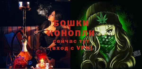 гидропоника Горнозаводск