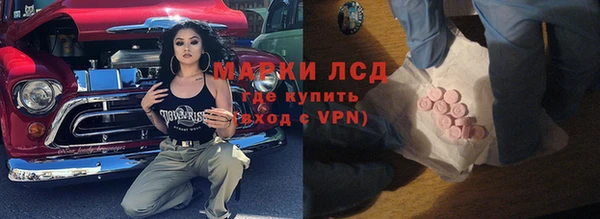 гидропоника Горнозаводск