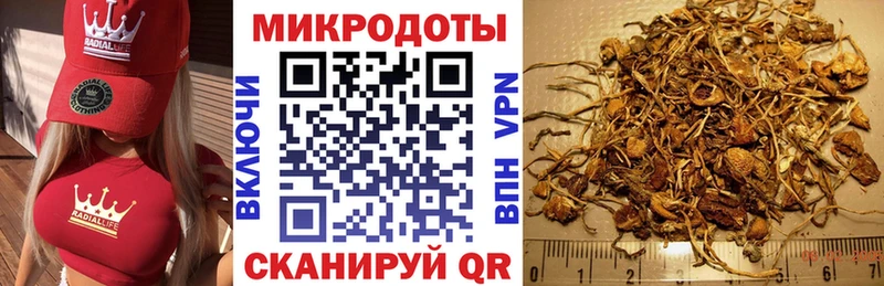 где можно купить   Евпатория  Псилоцибиновые грибы GOLDEN TEACHER 
